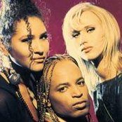 T-spoon - List pictures