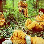 Senses Fail - List pictures