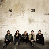 Lovebugs - List pictures