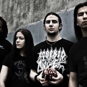 Pyrrah - List pictures