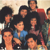 The Jets - List pictures