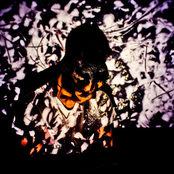 Blackbird Blackbird - List pictures