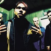 Spineshank - List pictures