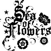 Sea Of Flowers - List pictures