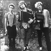 Grant Lee Buffalo - List pictures