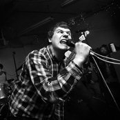 Night Birds - List pictures