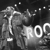 Dice Raw - List pictures