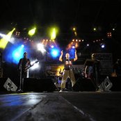 Piersi - List pictures