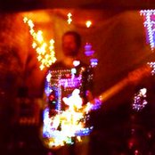 The Amber Herd - List pictures