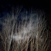 Department Of Eagles - List pictures