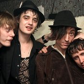 Babyshambles - List pictures