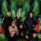 La Femme - List pictures