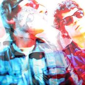 Crocodiles - List pictures