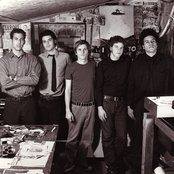 The Dingees - List pictures