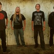 Cormorant - List pictures