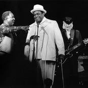Willie Dixon - List pictures