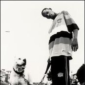 Roscoe - List pictures