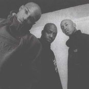 Onyx - List pictures