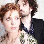 Cats On Trees - List pictures