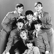 Cowsills - List pictures