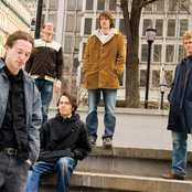 Lotus - List pictures