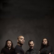 Arkan - List pictures