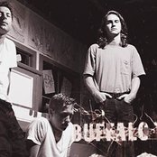 Buffalo Tom - List pictures