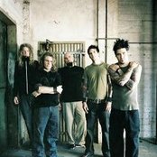 Adena - List pictures