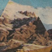 Painted Palms - List pictures