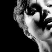 Polica - List pictures