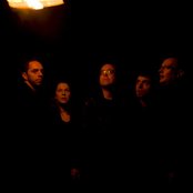 The Amber Herd - List pictures