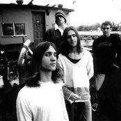 Reef - List pictures