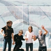 Veda - List pictures