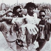 Living Colour - List pictures
