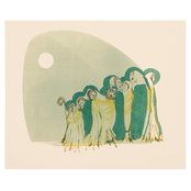 Passerine - List pictures