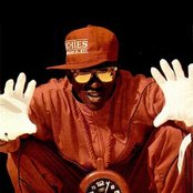 Flavor Flav - List pictures