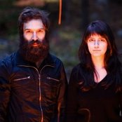 Brown Bird - List pictures