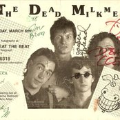 Dead Milkmen - List pictures