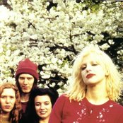Hole - List pictures