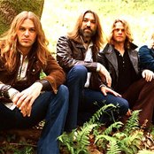 Orchid - List pictures