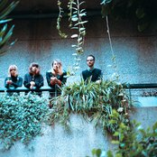 Novella - List pictures