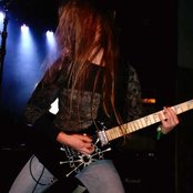 Vintersorg - List pictures