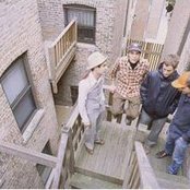 Owls - List pictures