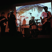 The Fauns - List pictures