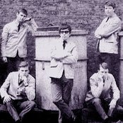 The Animals - List pictures