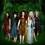 Indica - List pictures