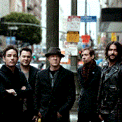 The Wallflowers - List pictures