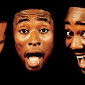 Little Brother - List pictures