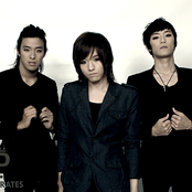 Royal Pirates - List pictures