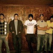 Elephant - List pictures